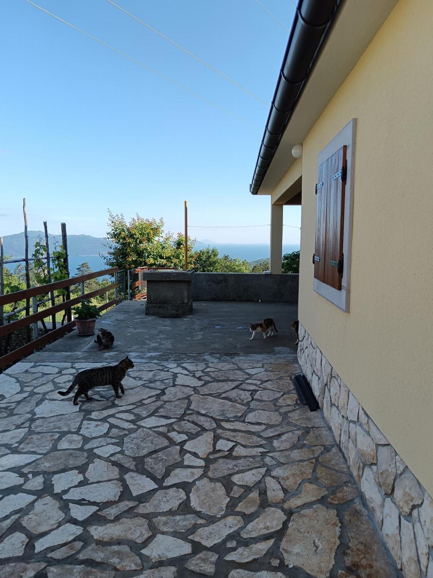 Vacation Home Marinici Мощеничка-Драга Экстерьер фото